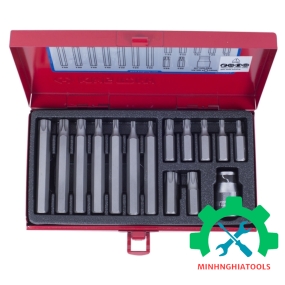 Bộ mũi vít đóng sao 15 chi tiết Kingtony 1015PQ  T20-T55