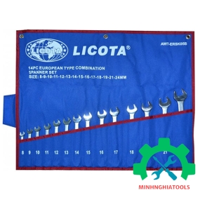 Bộ cờ lê vòng miệng 14 chi tiết hệ mét 8-24mm LICOTA AWT ERSK05B