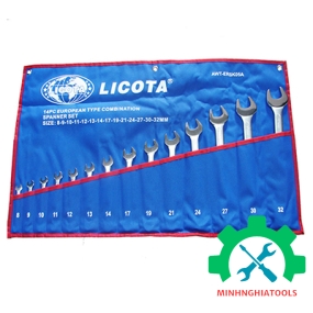 Bộ cờ lê vòng miệng 14 chi tiết hệ mét 8-32mm LICOTA AWT ERSK05A